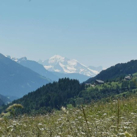 Haus Seiler Lägenhet Goms Exteriör bild