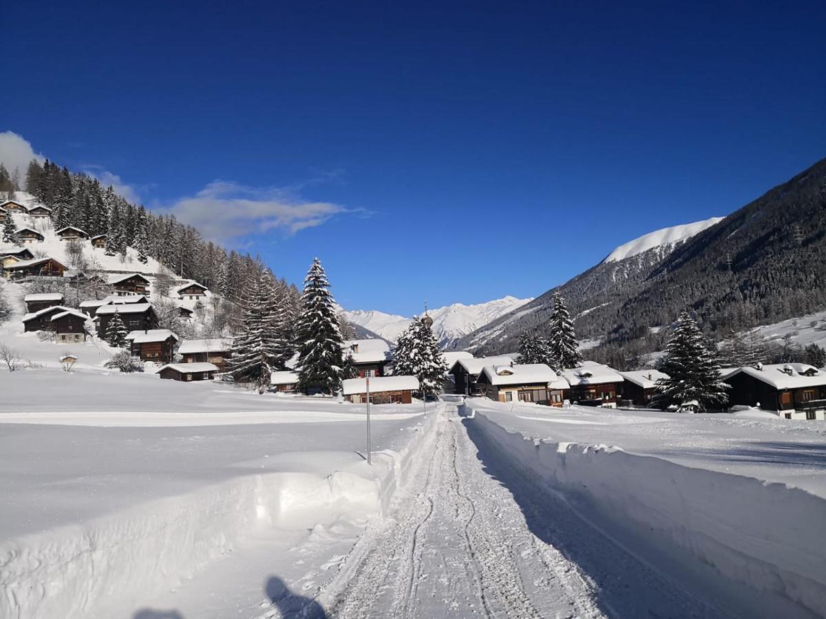 Haus Seiler Lägenhet Goms Exteriör bild