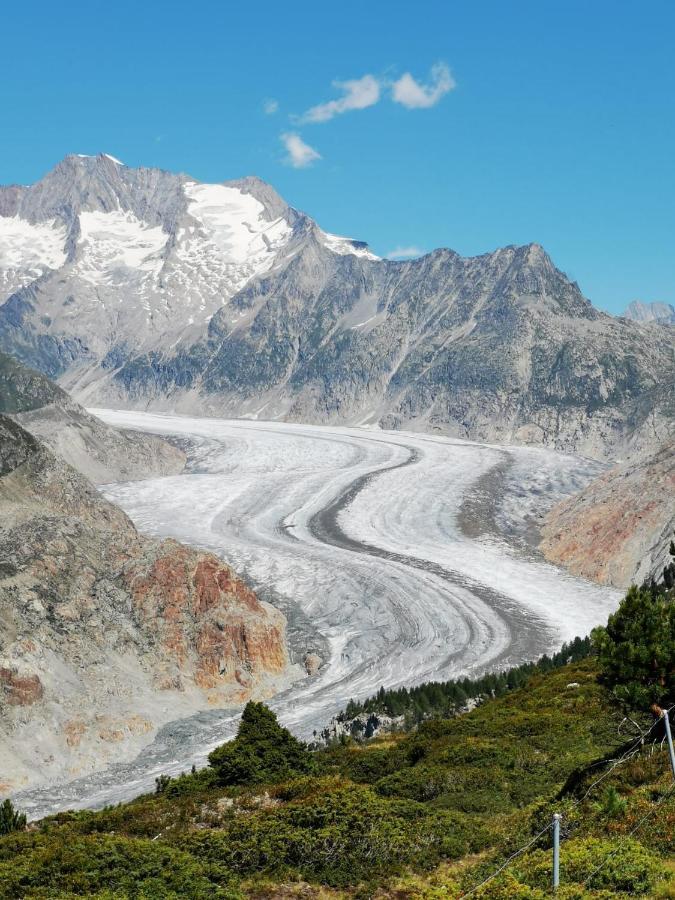 Haus Seiler Lägenhet Goms Exteriör bild
